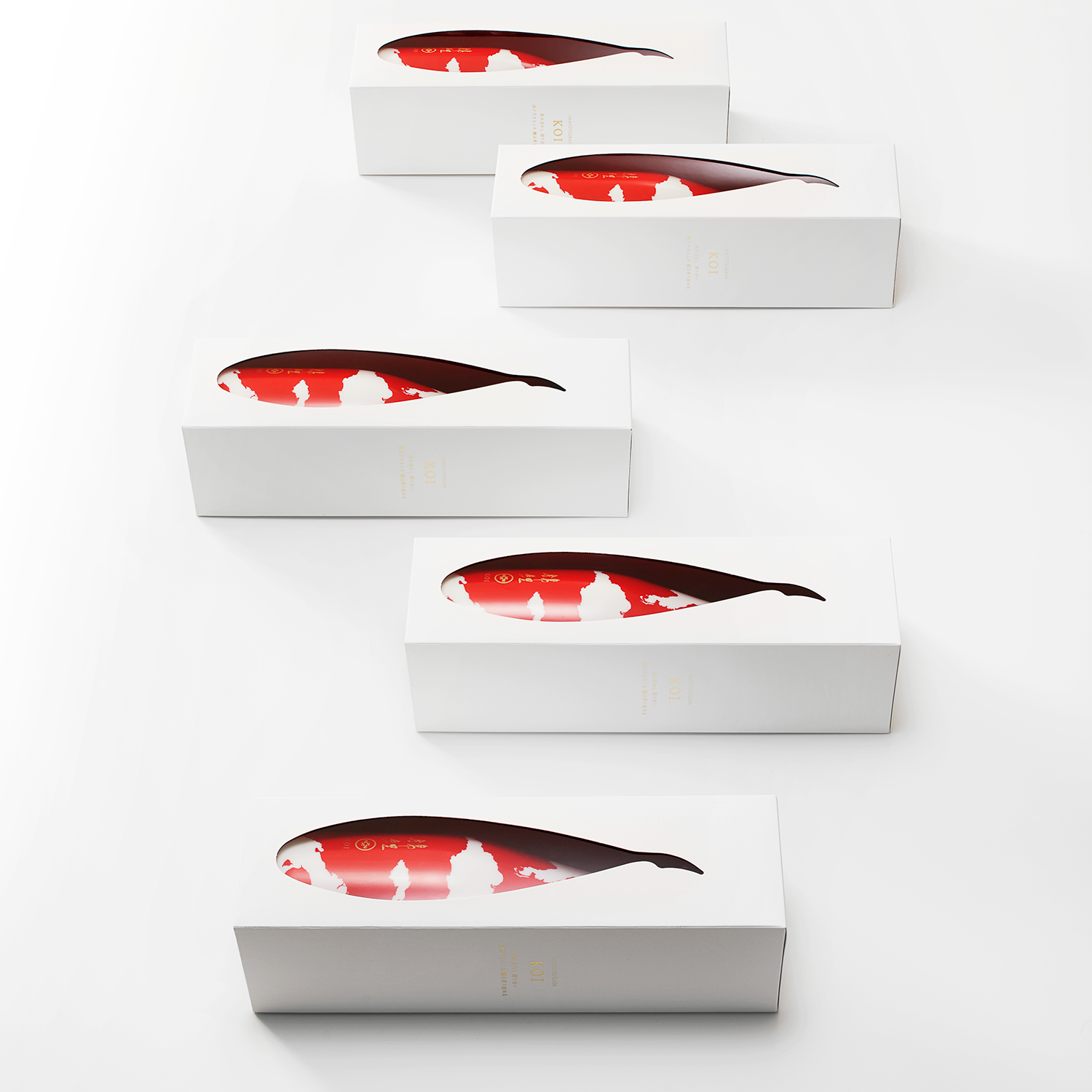 *KOI (NISHIKIGOI)