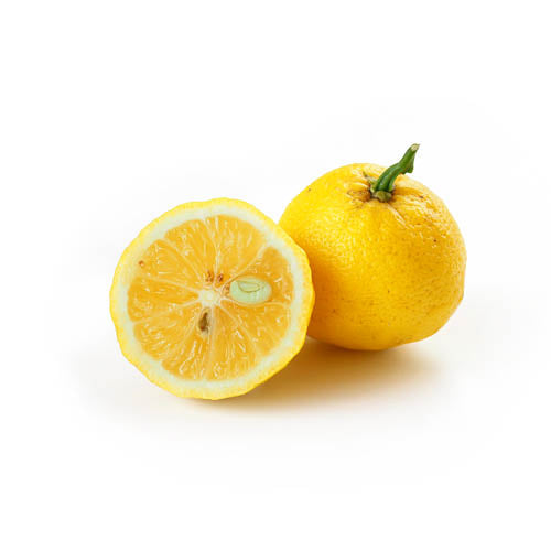 YUZU JUICE